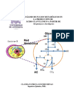 Analisis de Flujos Metabolicos en La Produccion de Acido Clavulanico PDF