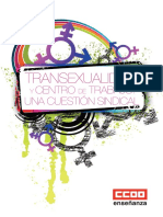 Guia Transexualidad Ccoo