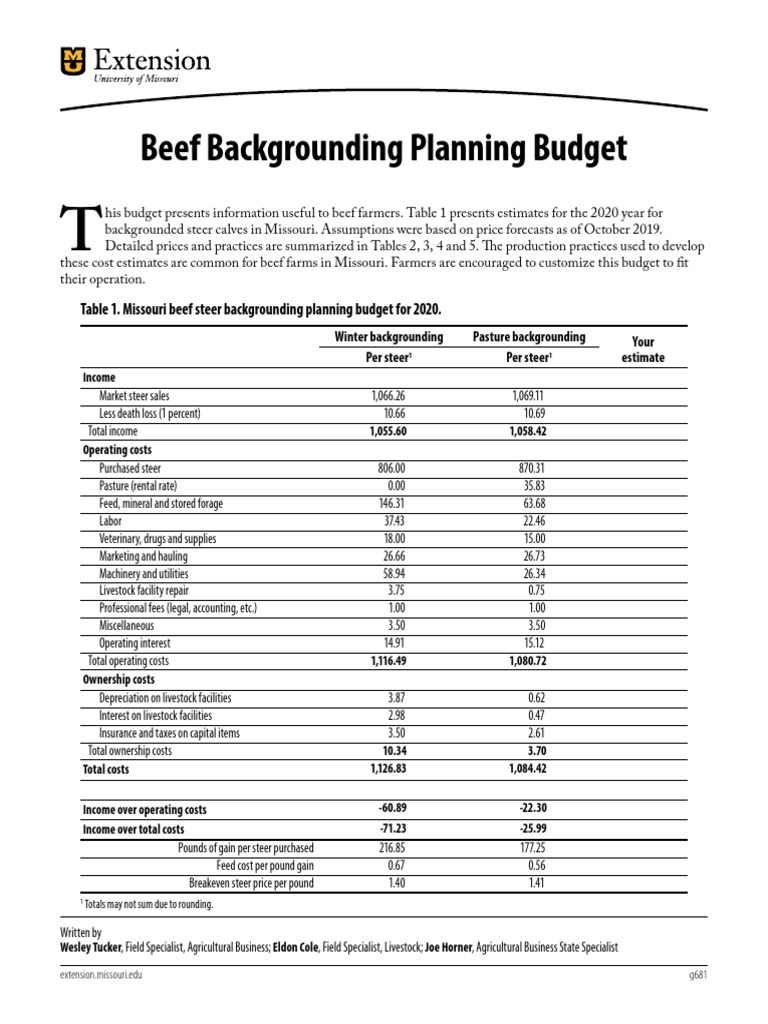Beef Backgrounding Planning Budget | PDF | Cattle | Beef