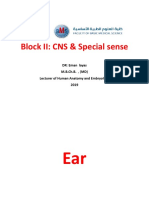 Block II: CNS & Special Sense: DR: Eman Layas M.B.CH.B., (MD) Lecturer of Human Anatomy and Embryology 2019
