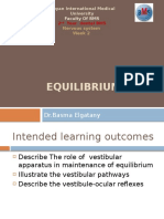 Equilibrium: DR - Basma Elgatany