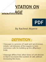 Presentation On Cleavage: by Racheal Akpene