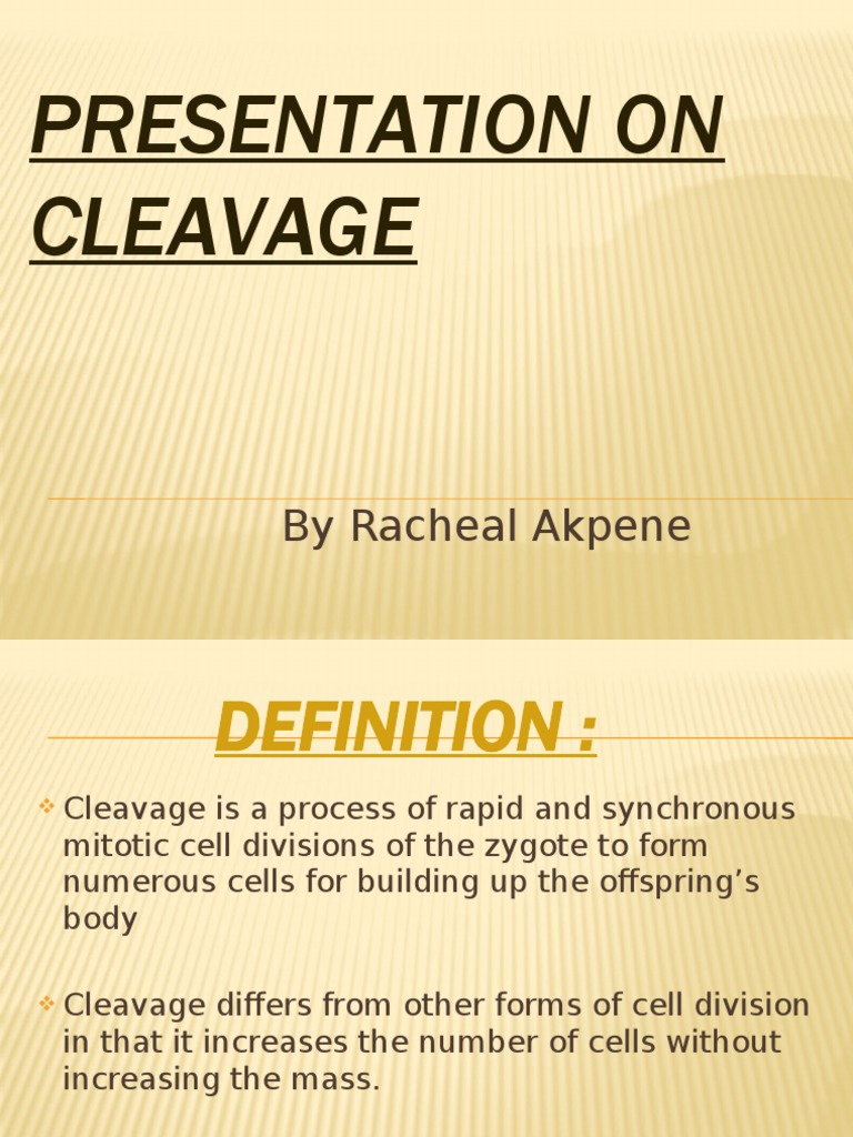 Cleavage Process in Embryo Development | PDF | Mitosis | Organisms