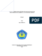 Skripsi Tanpa Bab Pembahasan PDF