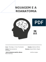 A linguagem e suas bases neuroanatômicas