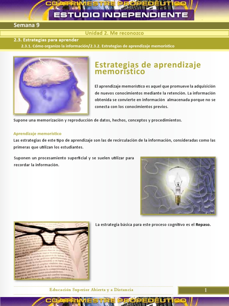 Estrategias de Aprendizaje Memorístico | PDF | Memoria | Aprendizaje