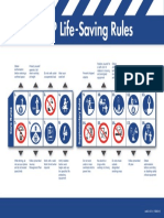 LI Life Saving Rules.pdf