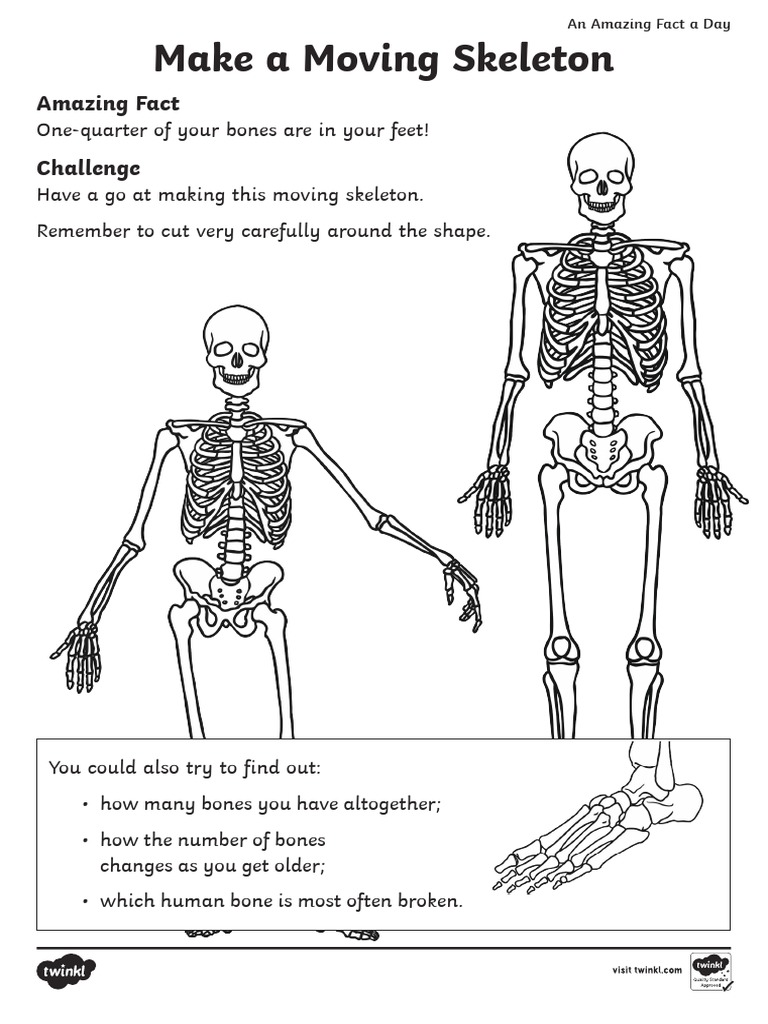 Create a Moving Skeleton Model | PDF