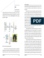 Vježba 7 PDF