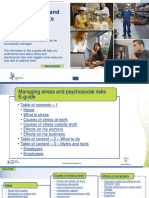 Psychosocial Risks PDF