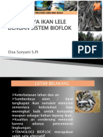 Budidaya Ikan Lele