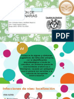 Infección de Vías Urinarias: Univ. Estrada Linares Jonathan Mauricio Univ. Casas Aguilar Nancy Grupo:4955-INFECTOLOGÍA