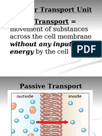 Cellular Transport Unit Passive Transport
