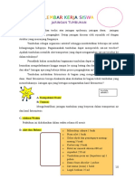 3 Worksheet Xilem Floemm