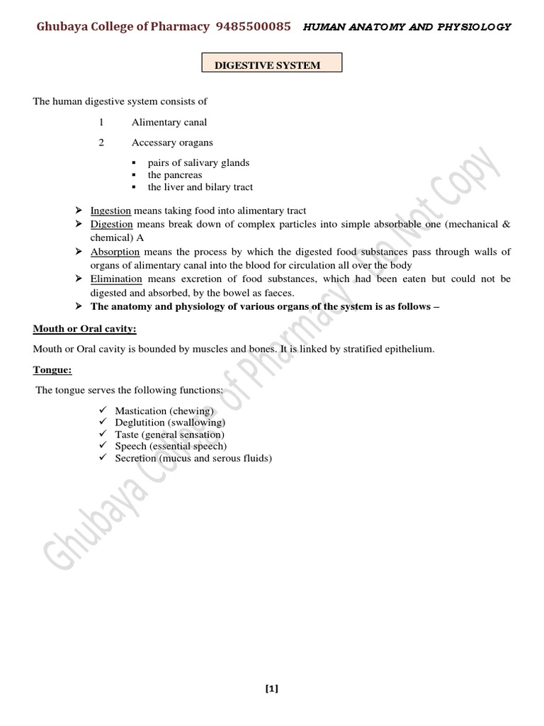 H.A.P Digestive System | PDF | Digestion | Human Digestive System
