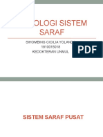 Histologi Sistem Saraf (Sihombing C.Y. 1810015018)