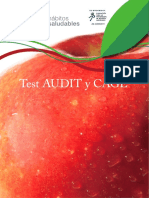 audit y cage.pdf