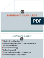 Budidaya Ikan Lele