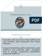 Pembesaran