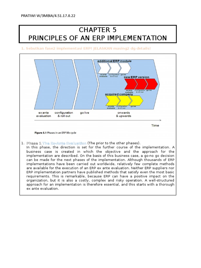 Principles of An Erp Implementation: PRATIWI W/3MBIA/4.51.17.0.22 | PDF ...