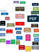 Mapa Mental Cuniculas