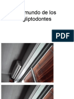 El Mundo de Los Gliptodontes PDF