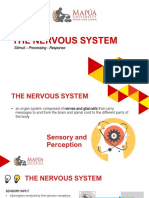 CO6 - 1 The Nervous System PDF