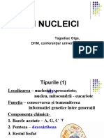 Acizii nucleici_metabolism8025970434582546553