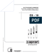 E 6 18 Caprari Prospekt