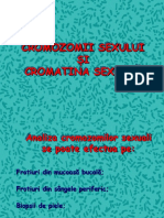 LP 5 PDF