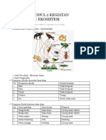 PDGK4107 Modul 2 Kegiatan Praktikum