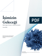 Isimizin-Gelecegi-McKinsey-Turkiye-Raporu_Ocak-2020.pdf