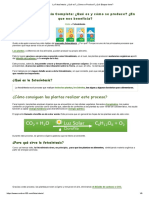 La Fotosíntesis_ ¿Qué es_ ¿Cómo se Produce_ ¿Qué Etapas tiene_.pdf