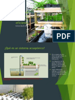 Sistema Acuapónico Económico y Eficiente