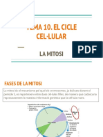 TEMA 10. CILCE CEL·LULAR-MITOSI.pdf