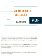 TEMA 10. EL CICLE CEL·LULAR -  LA MEIOSI.pdf