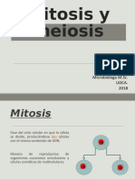 Mitosis y Meiosis