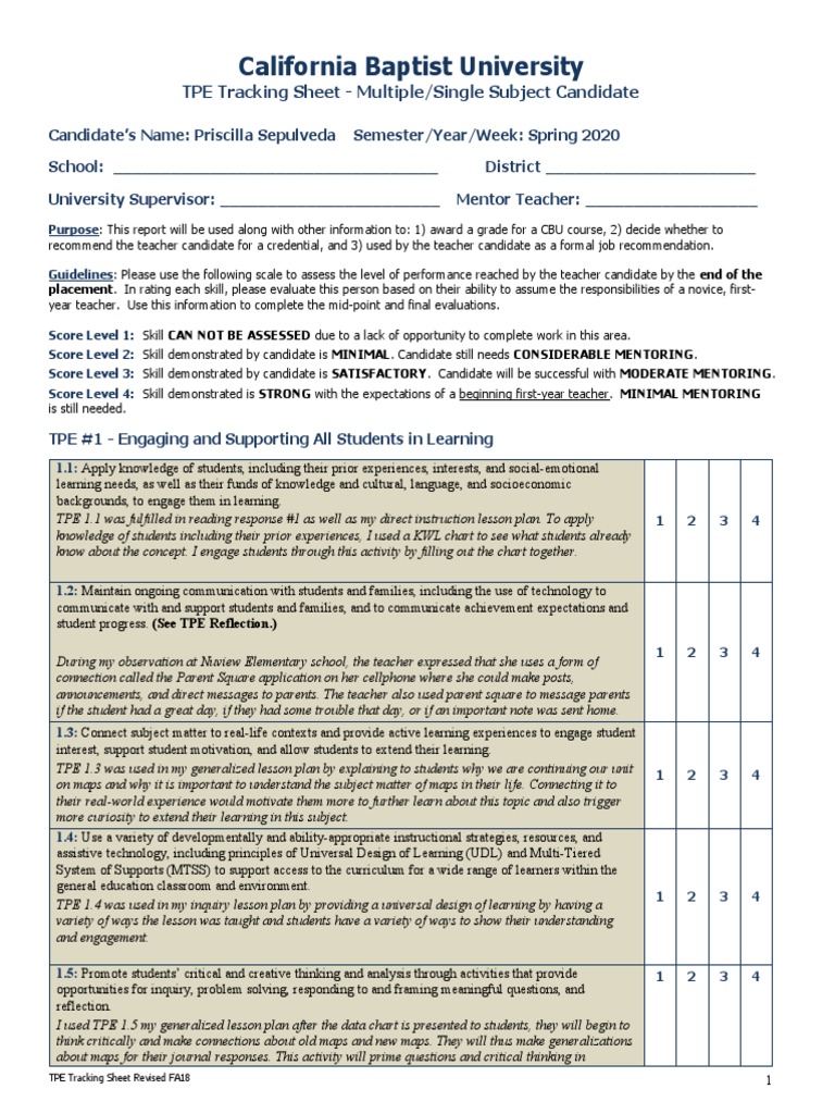 Tpe Observation Tracking Form 2019 | PDF | Educational Assessment ...