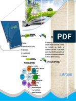 Folleto Informe