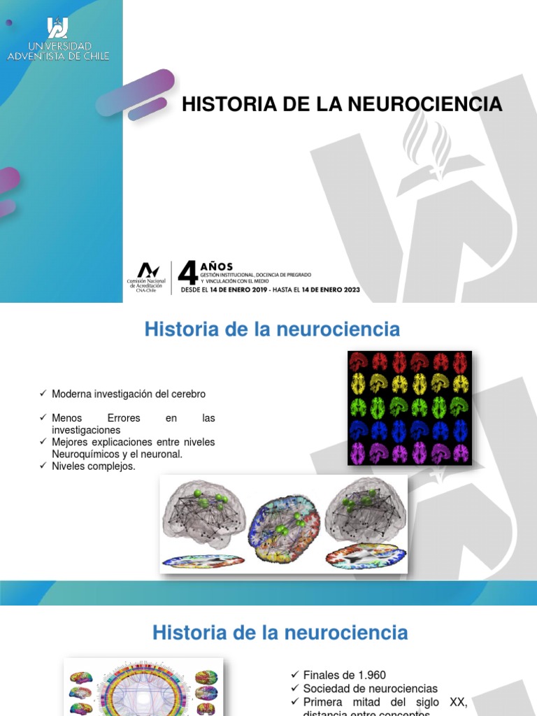 Historia de la Neurociencia | PDF | Cerebro | Neurona