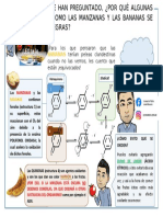 Infografía 3, Por Qué Las Manzanas y Las Bananas Se Ponen Negras-Ii