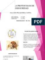 Cartilla de Protocolos de Bioseguridad PDF