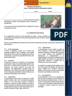 reproduccin1-140627083616-phpapp02.pdf
