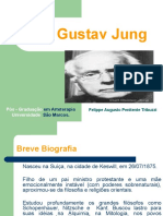Jung Principais Conceitos