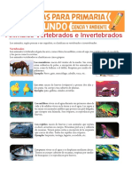 Animales-Vertebrados-e-Invertebrados-para-Segundo-de-Primaria.pdf