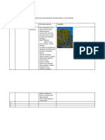 Cuadro Resumen para Presentar Las Plantas de Los Municipios