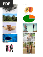 Partes Del Cuerpo en Qeqchi | PDF