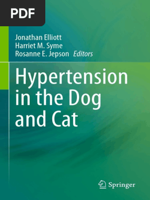 Hypertension In The Dog And Cat Pdf Pdf Angiotensin Kidney
