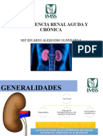 Insuficiencia Renal Aguda y Cronica