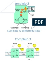 Diapos bioca